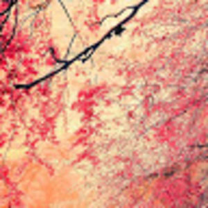 Meet your Posher, Jocelyn